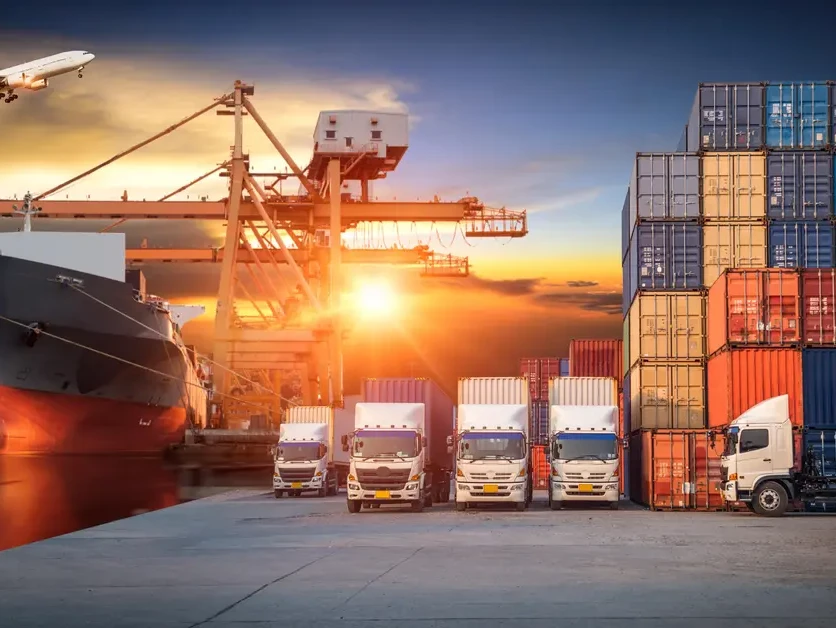 Sameday Logistics
