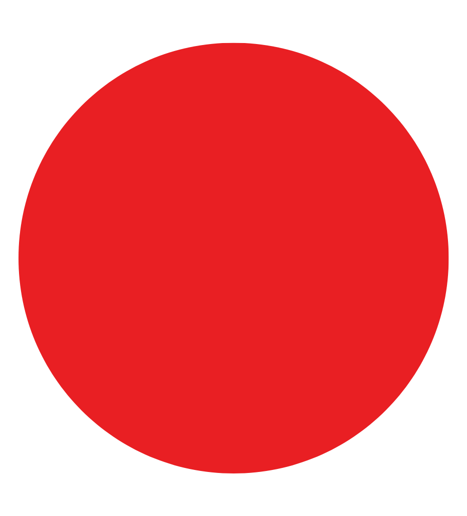 same-day delivery service